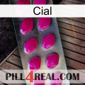 Cial 09